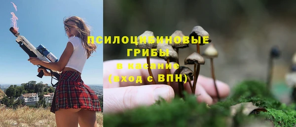 мдма Горнозаводск