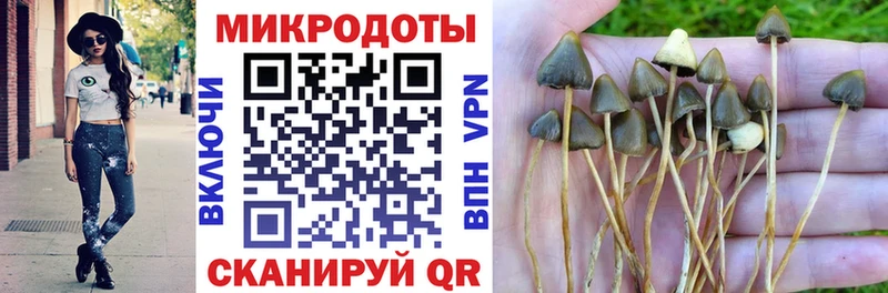 Купить закладки  Динская  Галлюциногенные грибы GOLDEN TEACHER 